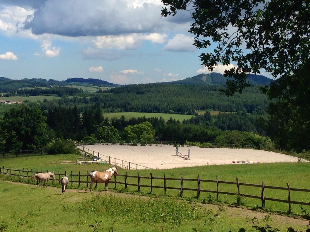 Les Perruchons Ancienne Grange Renovee Avec Soin Holiday home