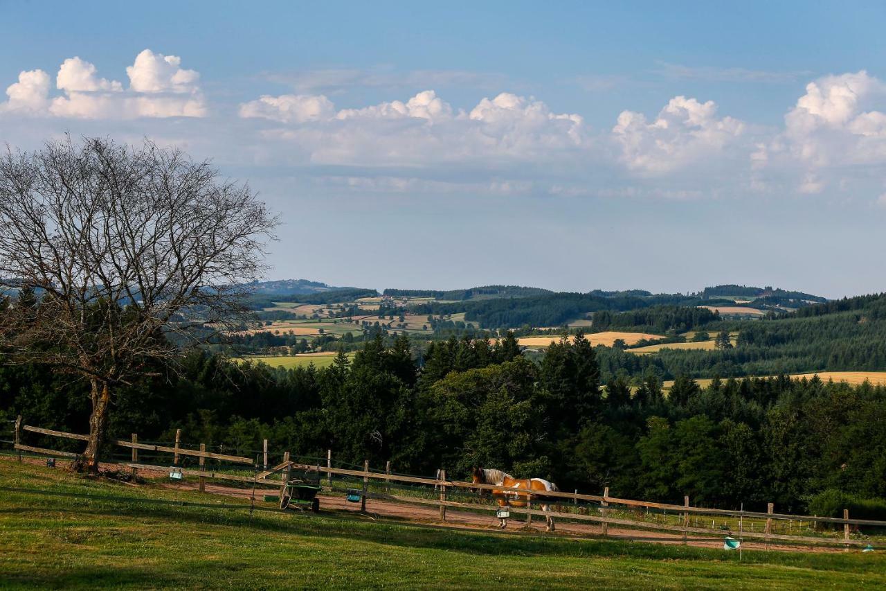 Les Perruchons Ancienne Grange Renovee Avec Soin Holiday home