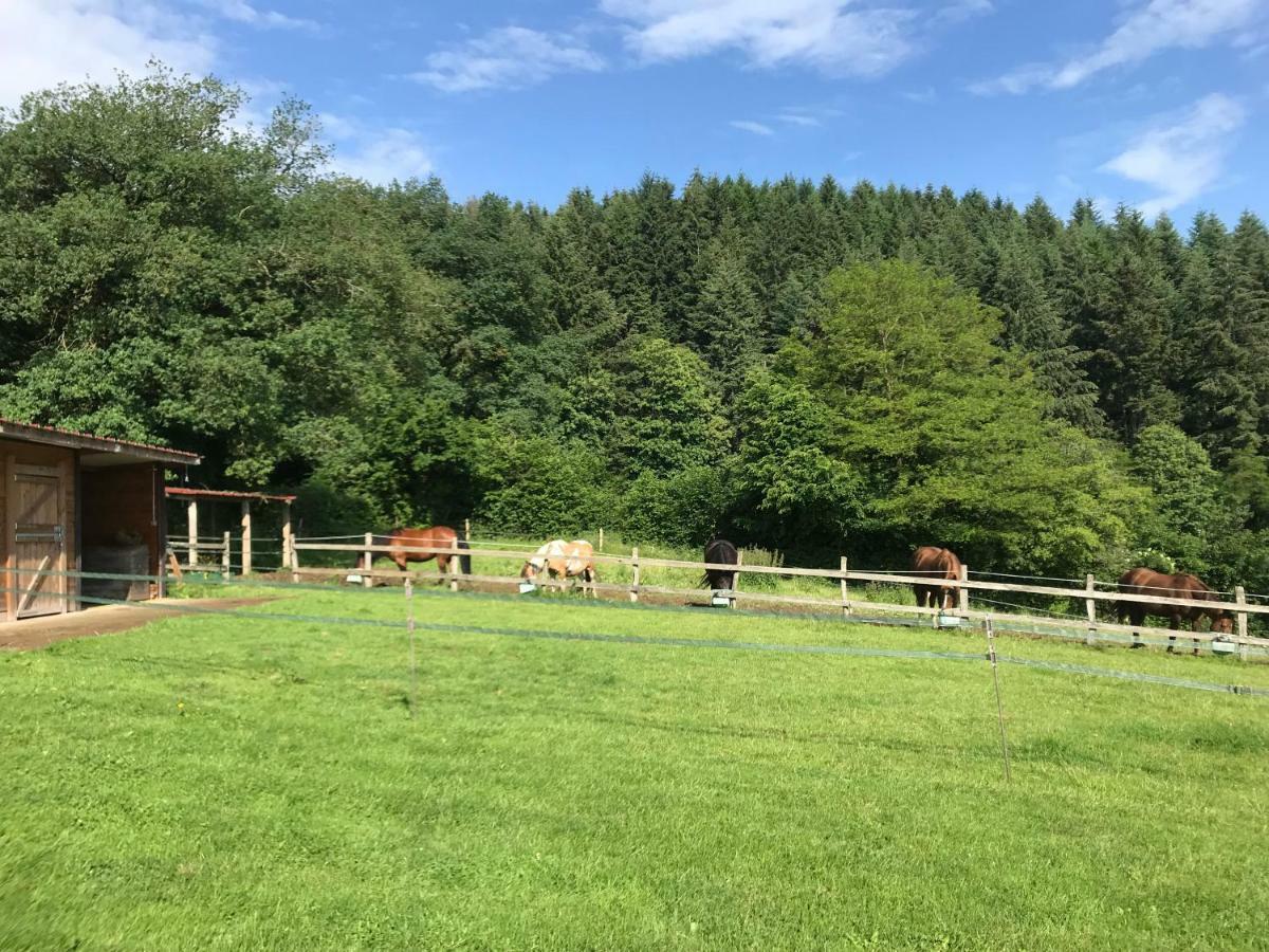 Les Perruchons Ancienne Grange Renovee Avec Soin